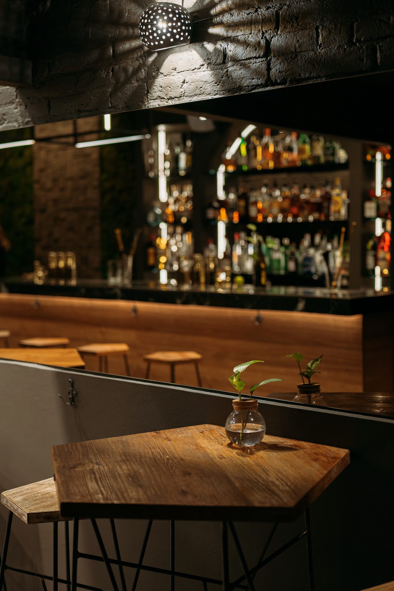 Botanicus bar interior