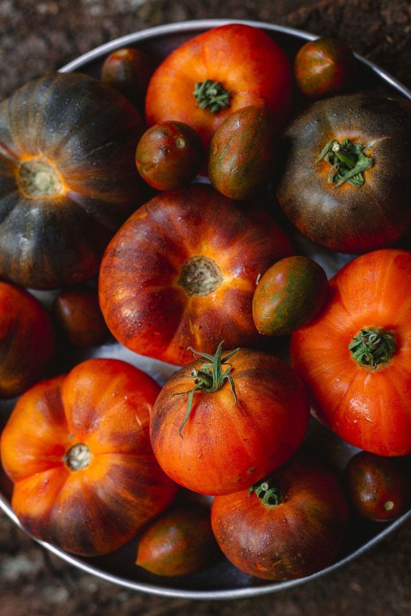 Mesaquince tomates